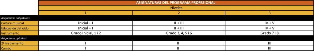 Cuadro de asignaturas del Programa Profesional